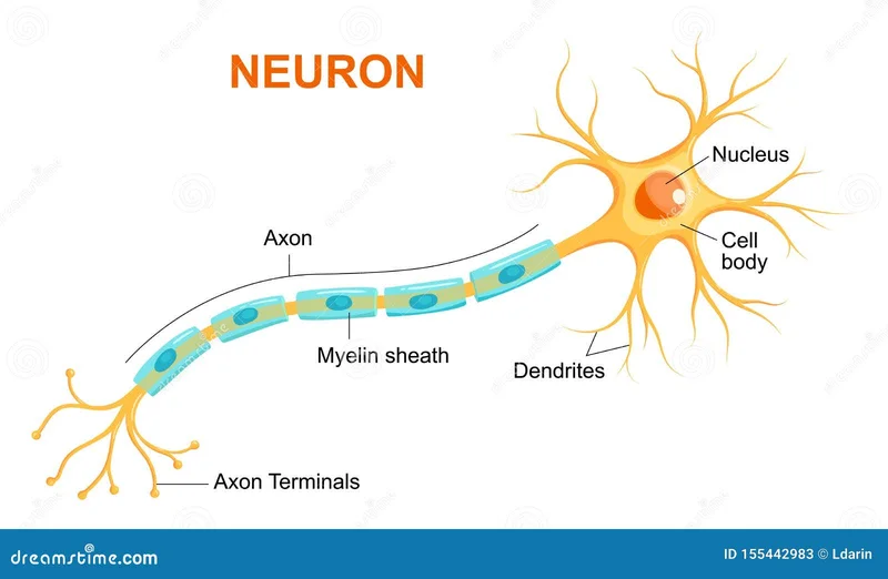 Axon's Growth Narrative: What the Data Actually Reveals