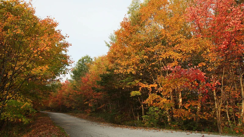 New Zealand: A Nation's Identity, Its Place in the World, and What Comes Next